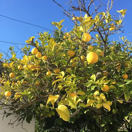 Diamoni Afroditi Two For Max 6 Persons Casa de Férias