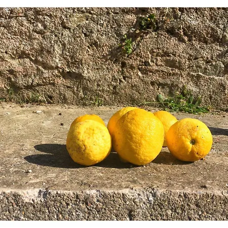 Casa de Férias Diamoni Afroditi Two For Max 6 Persons Karavás